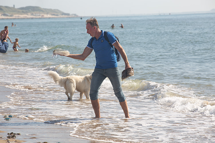 Wandeling Zoutelanden